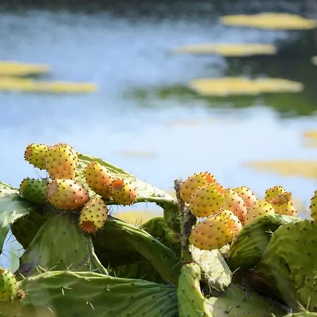 Bed & Breakfast Sa Pintadera