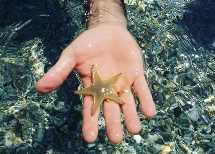 B&B Sa Pintadera 무라베라