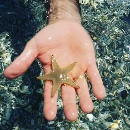 ベッド・アンド・ブレックファスト Sa Pintadera ムラヴェーラ